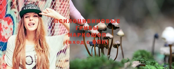 мяу мяу мука Осинники