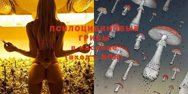 мяу мяу мука Осинники