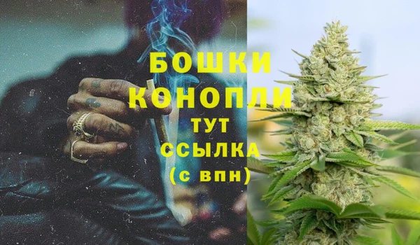 гашиш Осташков