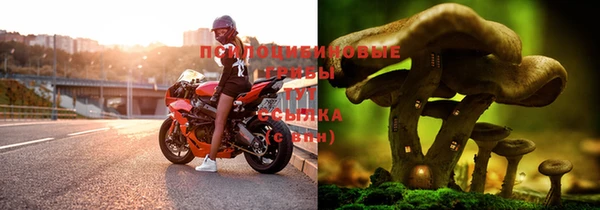 мяу мяу мука Осинники