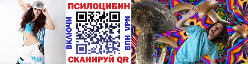 Псилоцибиновые грибы Psilocybe  МЕГА онион  Красноперекопск 